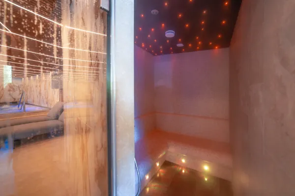 parní sauna
